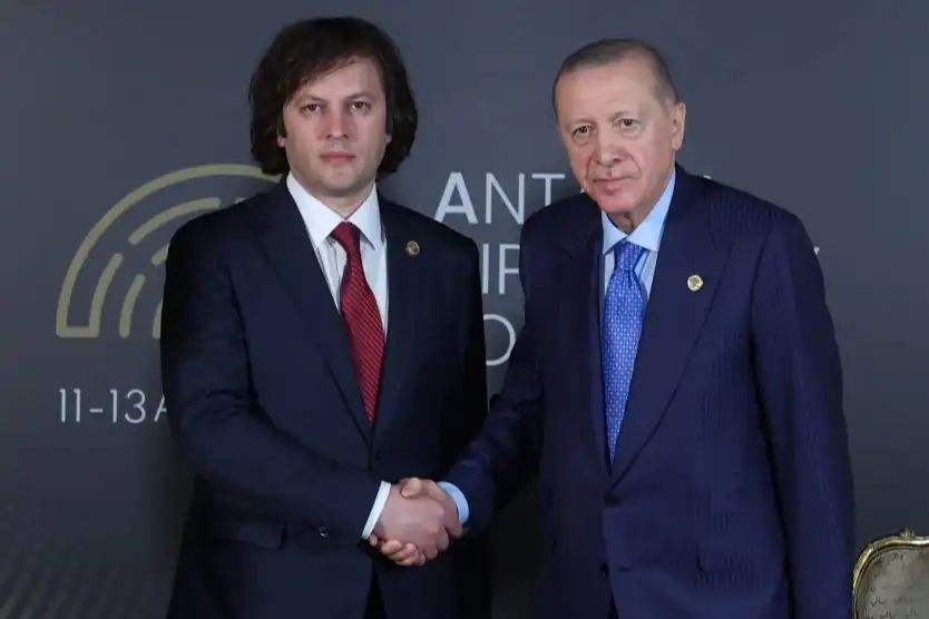 Erdoğan ve Kobakhidze, Askeri Uçak Kazasına İlişkin Görüşme Gerçekleştirdi
