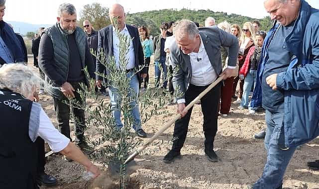 ataturkun vasiyeti urlada hayata gecti zeytin koleksiyon bahcesinde ilk fidan dikimi
