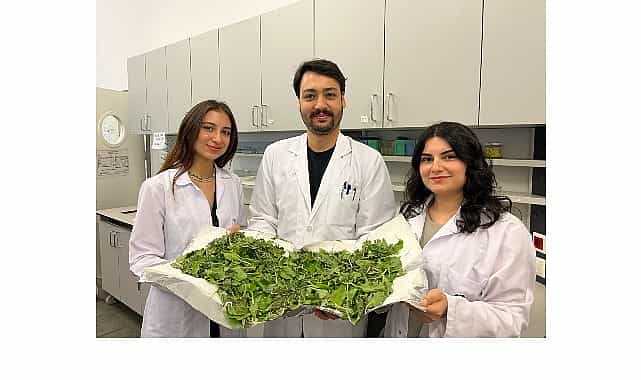 BİLGİ’li öğrenciler antibiyotik direncine karşı yenilikçi ve doğal bir yöntem geliştirdi 1 bilgili ogrenciler antibiyotik direncine karsi yenilikci ve dogal bir yontem gelistirdi