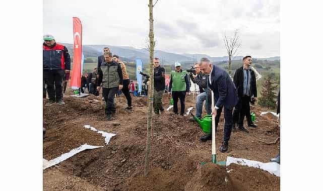 karamurselde yanan bolge 3 bin fidanla yeniden yeserecek