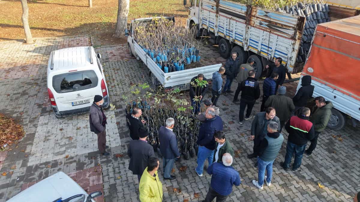 Büyükşehir’den Üreticilere Binlerce Fidan Desteği 1 Büyükşehir’den Üreticilere Binlerce Fidan Desteği