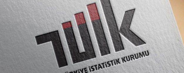 122696181 tuik